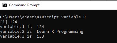 R Programming Variables