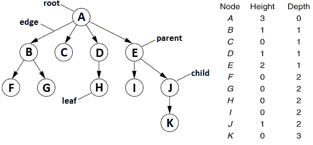 Figure 13.1 – Tree terminology 