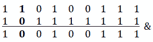 Figure 9.9 Binary representation 